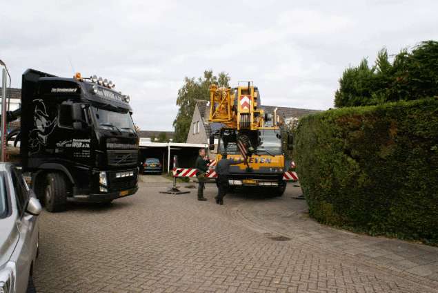 afvoeren van een berkenboom in udenhout rooien en kappen van bomen